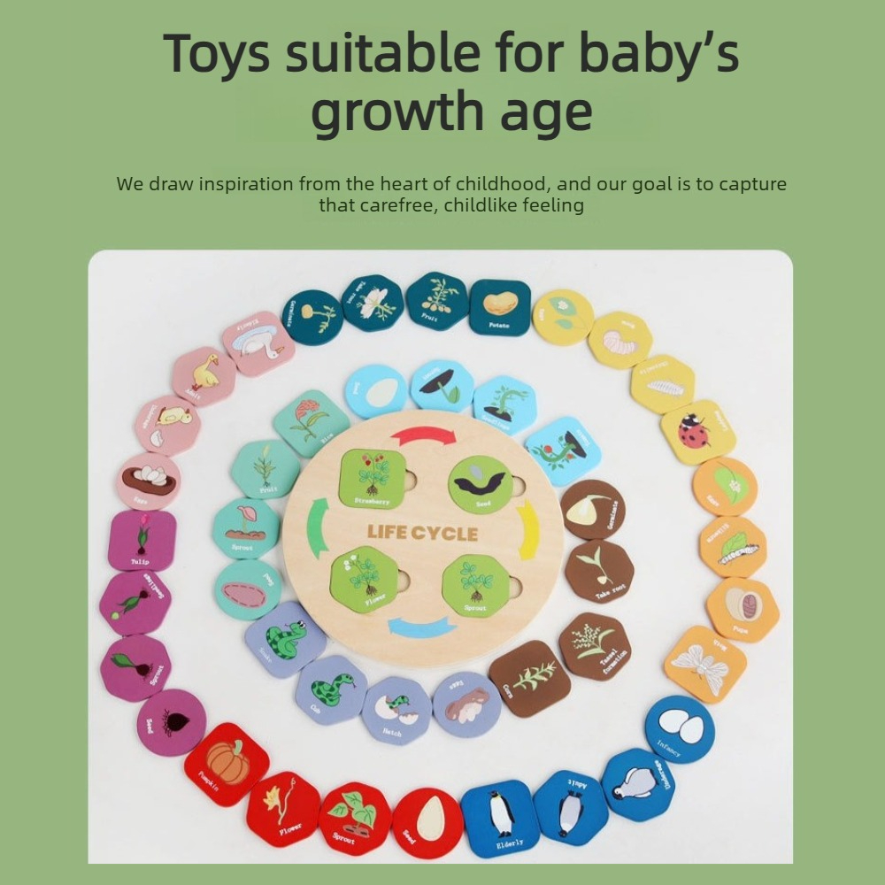 1Pc Wooden Growth Puzzle, plan - Kids Toys Cycle recension och pris