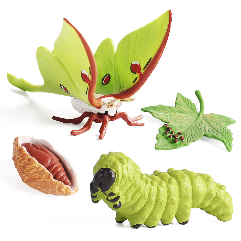 Kids Cognitive Educational Toy - Kids Toys Cycle recension och pris