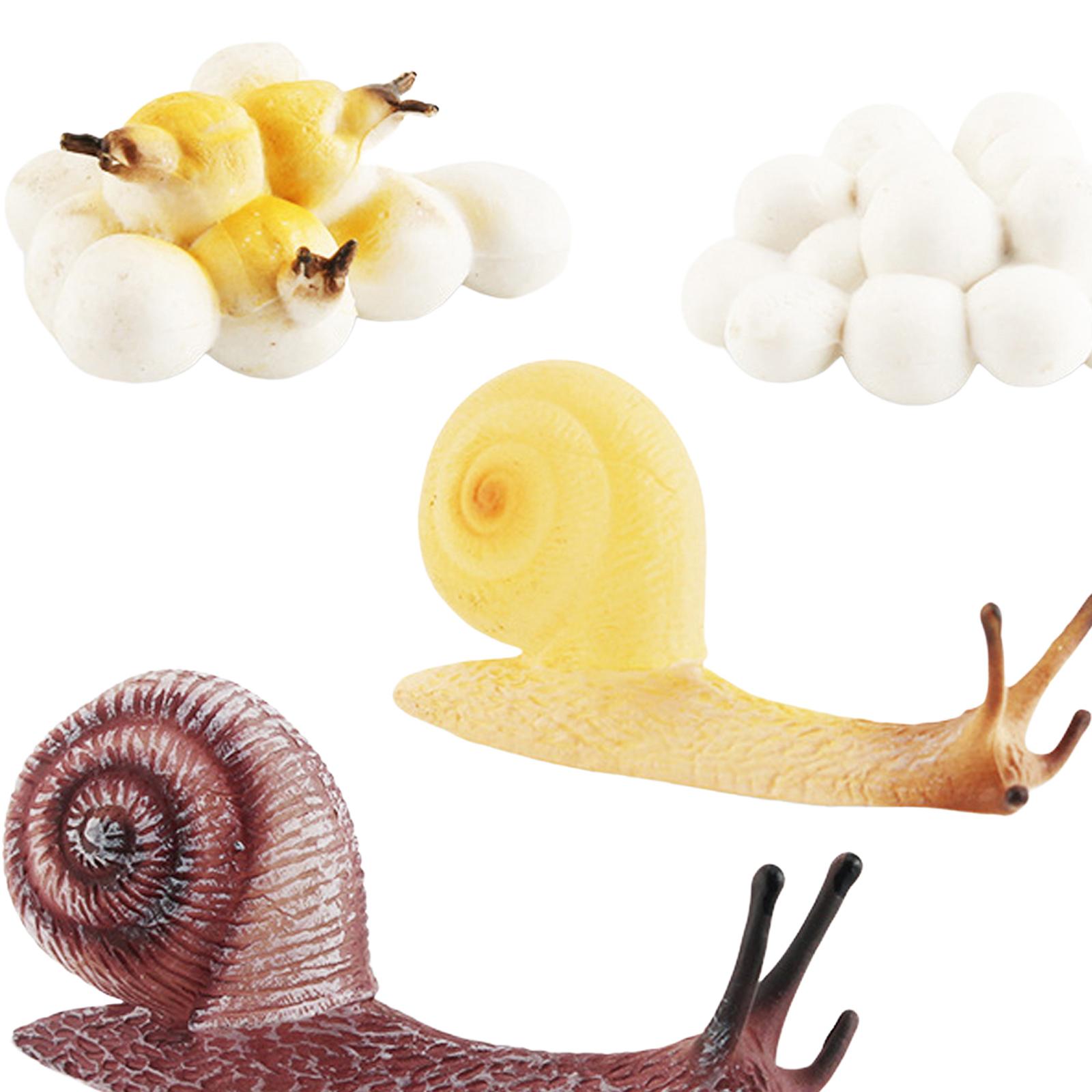 Early Education Life Cycle Tra - Kids Toys Cycle recension och pris