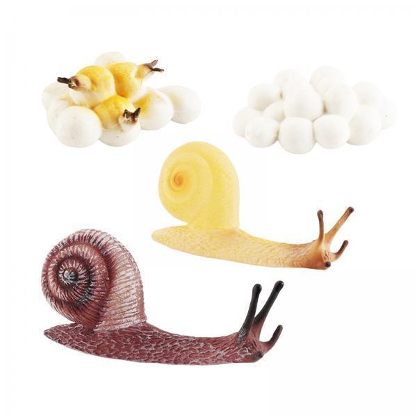 Early Education Life Cycle Tra - Kids Toys Cycle recension och pris