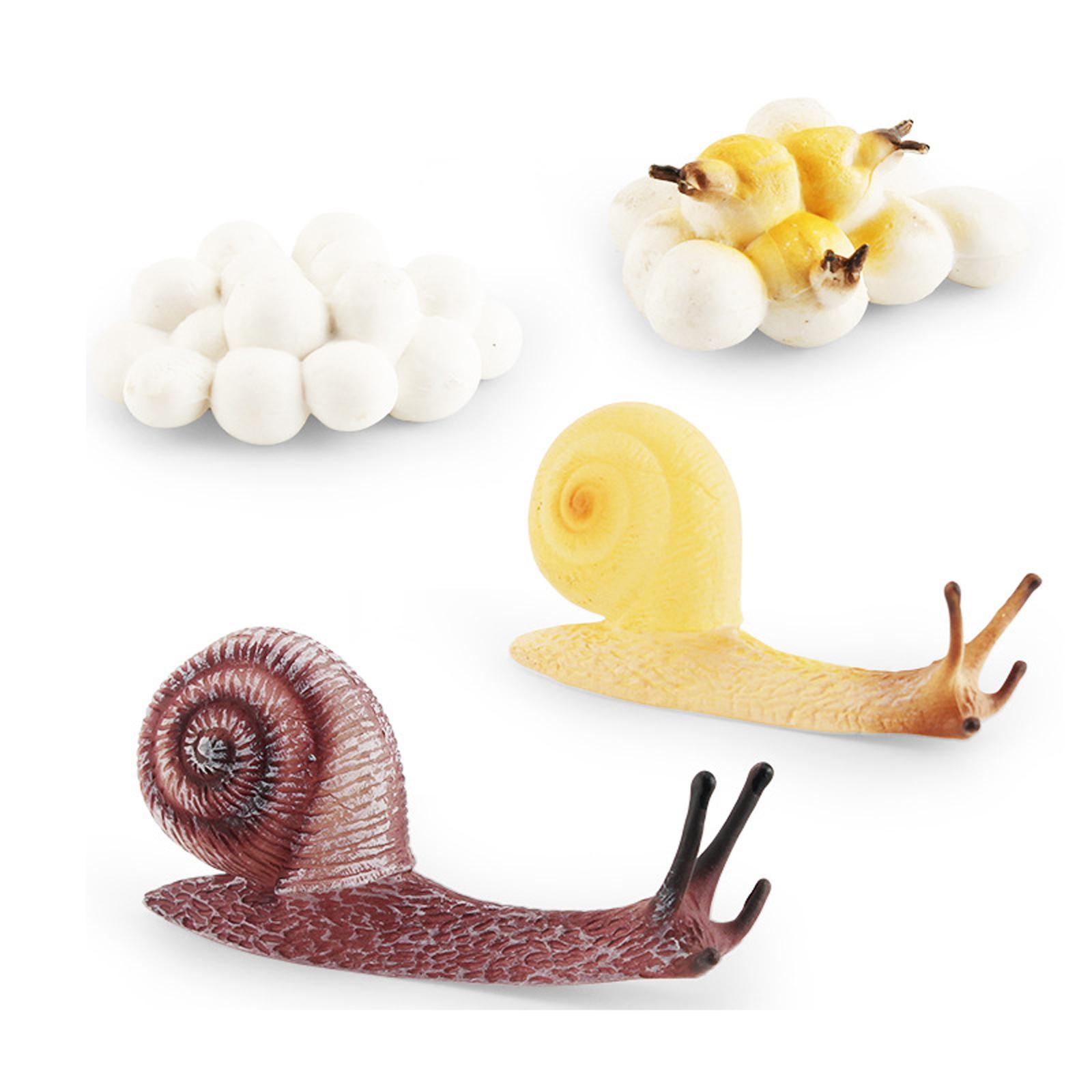 Early Education Life Cycle Tra - Kids Toys Cycle recension och pris