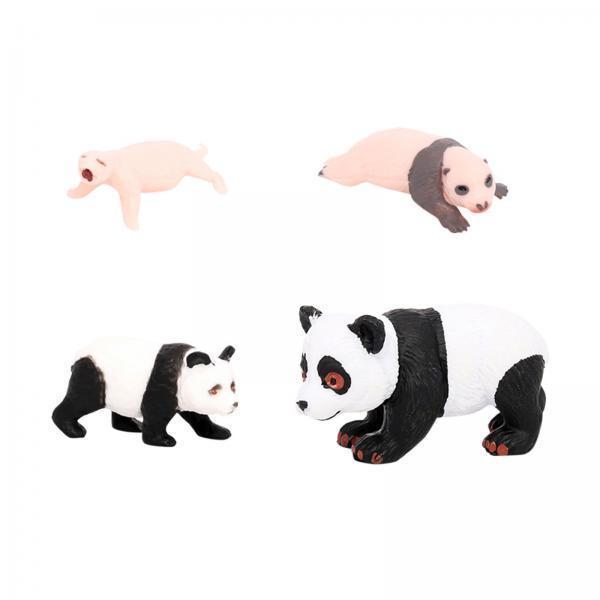 4x 4x Panda Animal Life Cycle  - Kids Toys Cycle recension och pris