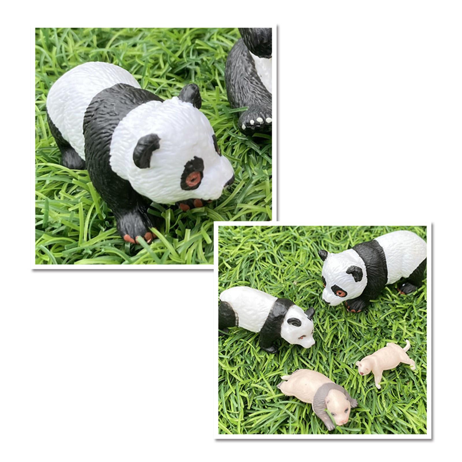 4x 4x Panda Animal Life Cycle  - Kids Toys Cycle recension och pris