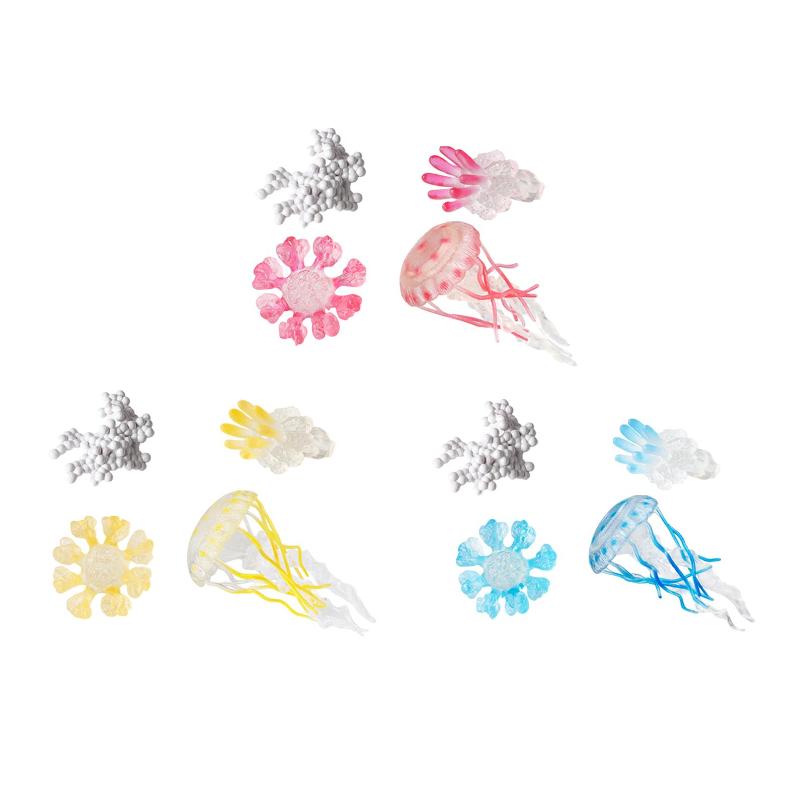Jellyfish Growth Cycle Model A - Kids Toys Cycle recension och pris