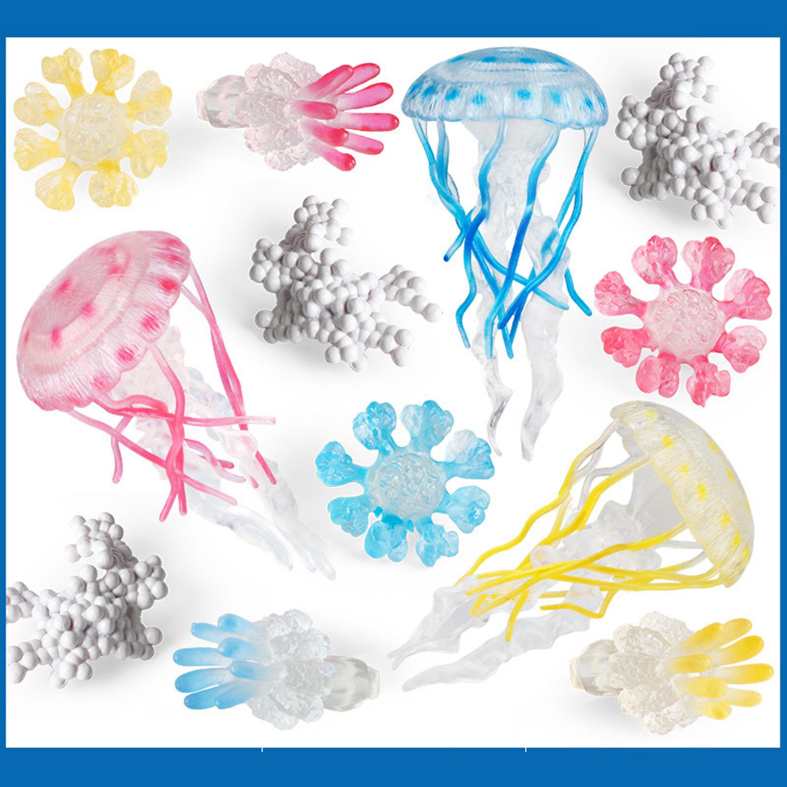 Jellyfish Growth Cycle Model A - Kids Toys Cycle recension och pris